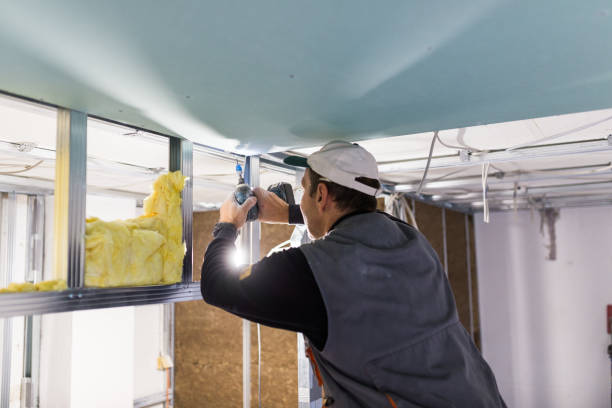 Best Insulation for Specific Applications in Lakeport, TX
