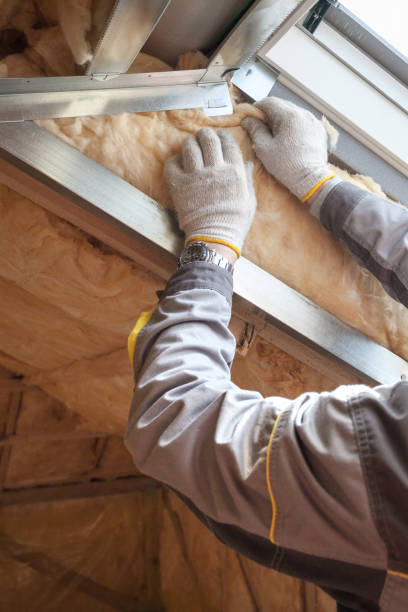 Best Insulation Installation Services in Lakeport, TX